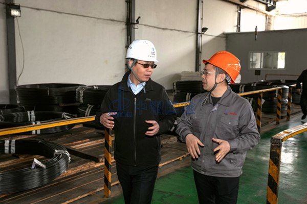 中国宝武副总经理高建兵一行莅临我公司考察调研