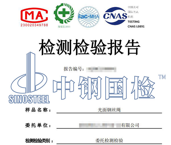 钢丝绳检测报告