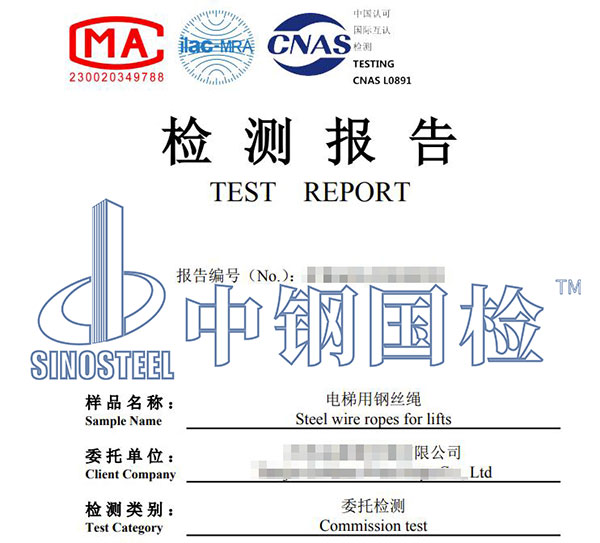 钢丝绳检测报告